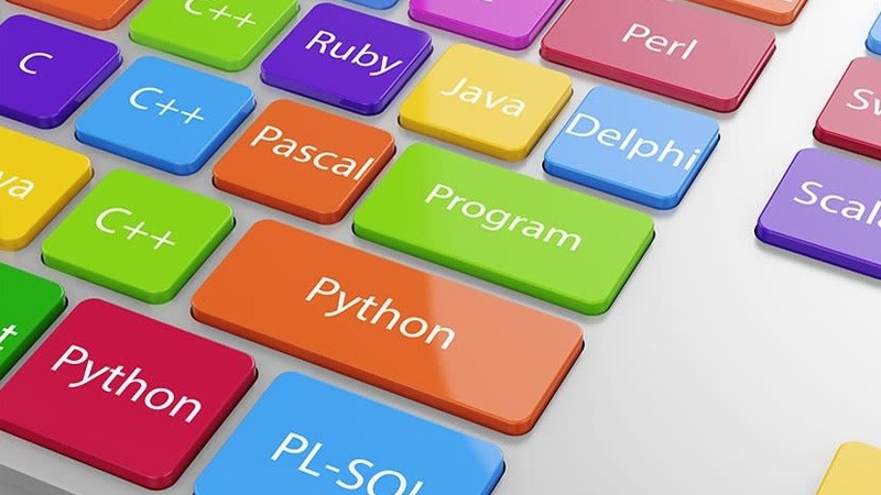 Future-Proof Your Career: Best Coding Languages to Learn as a Fresher in 2024